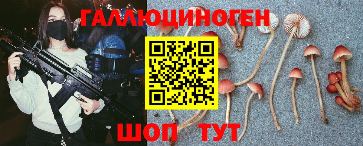 Тольятти  Псилоцибиновые грибы мицелий  Галлюциногенные грибы Magic Shrooms  Вход с VPN 