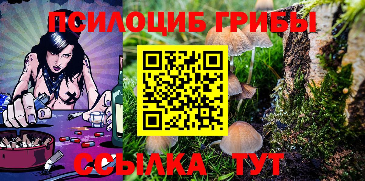 Псилоцибиновые грибы Cubensis Тольятти